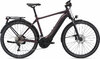 GIANT Explore E+ Pro 1 [RC Dash] rosewood / black satin-matt-gloss M