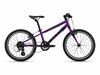 GIANT ARX 20 purple one size