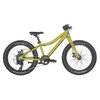 Scott Roxter 20 green - Savana Green - One size